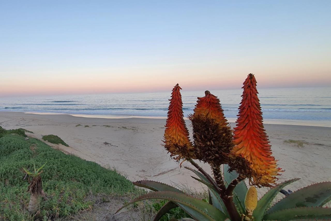 Paradise Found, Paradise Beach, Jeffreysbaai Buitenkant foto